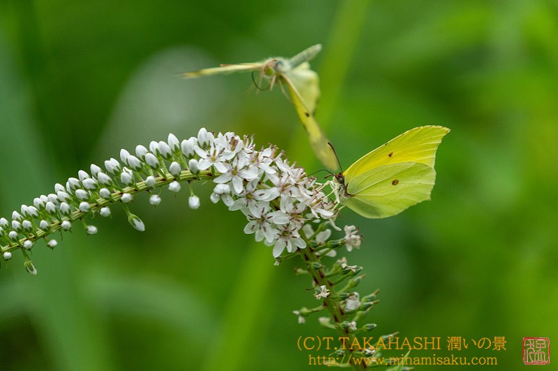 ../Images/7R240721 (174).jpg